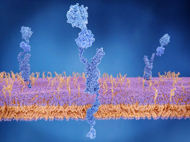 Amyloid-precursor-protein-APP-graphic-illustration