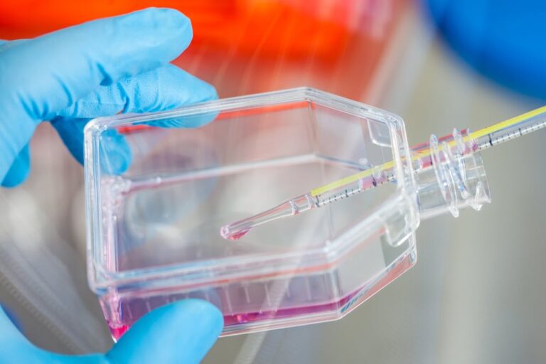 scientist working with a cell culture flask