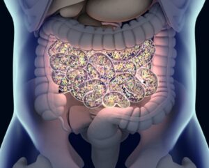 Graphic of gut bacterias microbiome