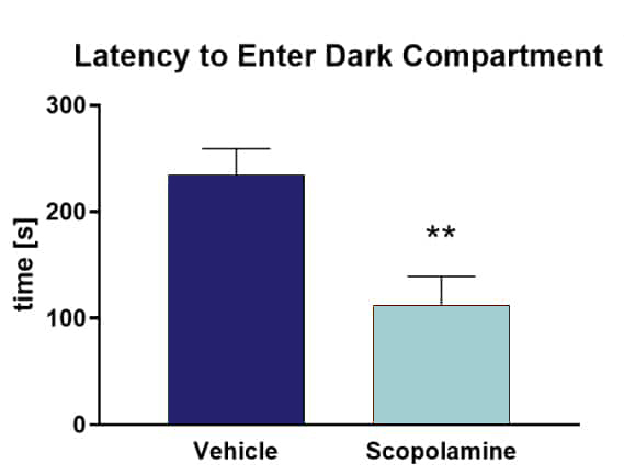 latency