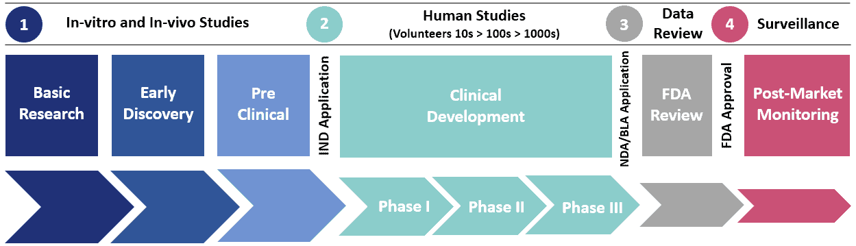 Drug development process overview