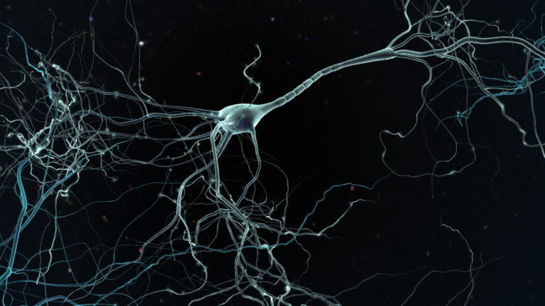 graphic illustration of neuron cell