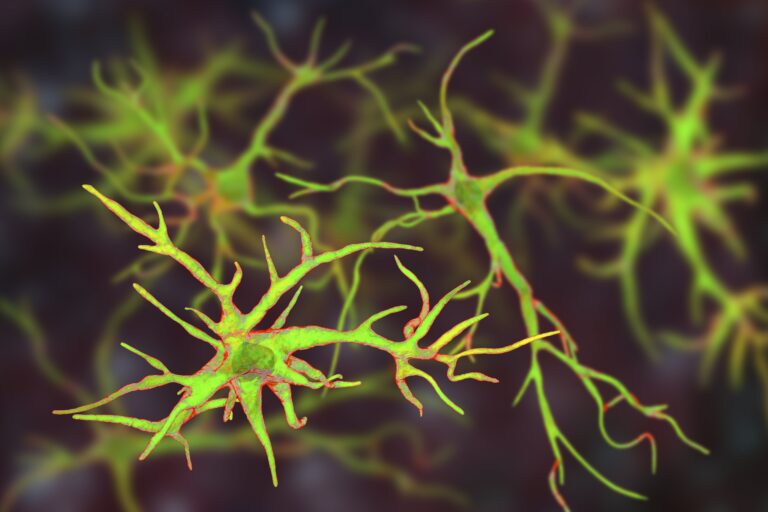 graphic illustration of astrocytes