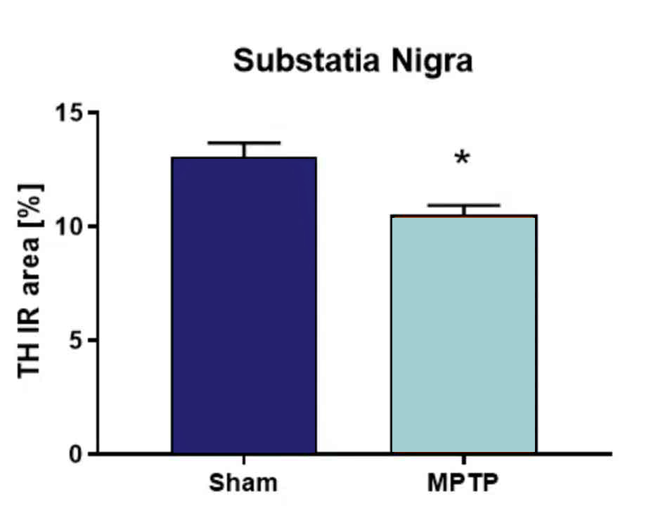 Substatia