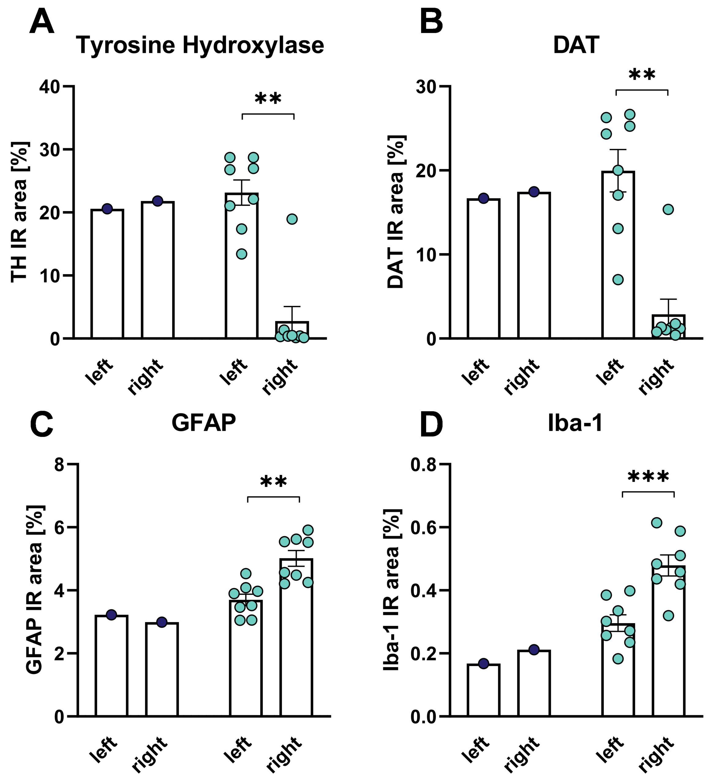 6-OHDA-MFB-Fig.3