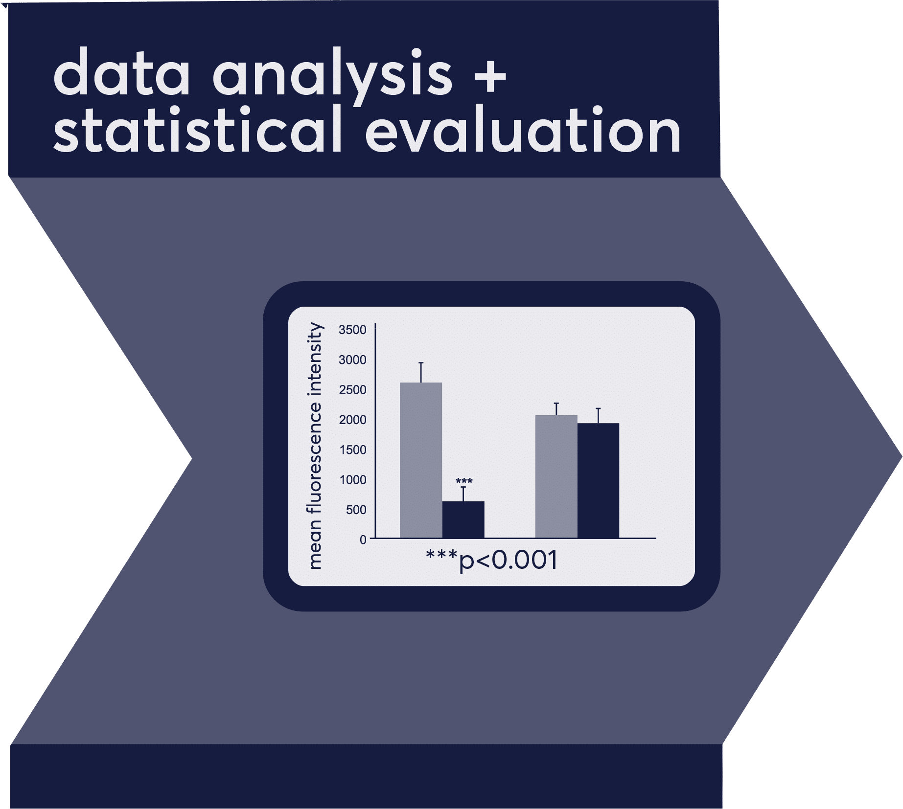 statistics and reporting