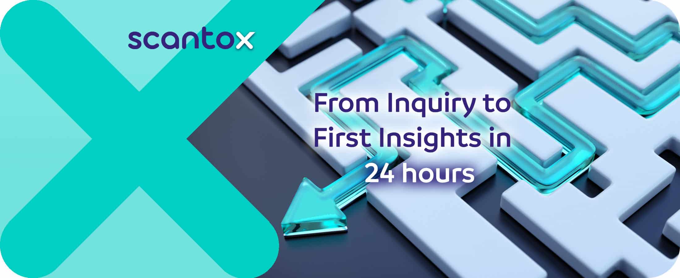 From Inquiry to First Insights in 24 Hours