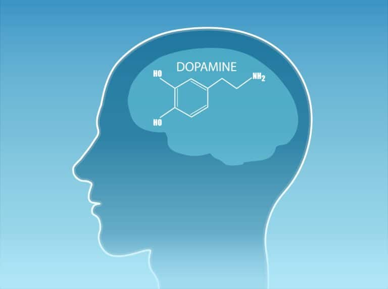 Digital illustration of dopamine symbol in human brain