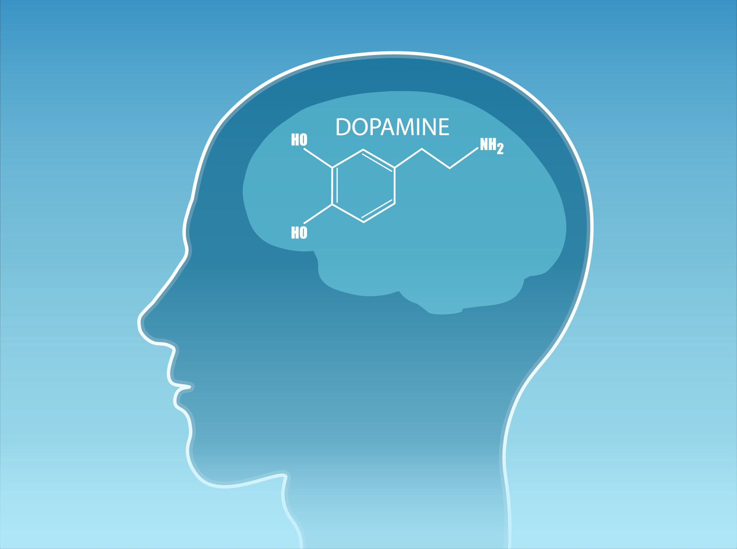 Digital illustration of dopamine symbol in human brain