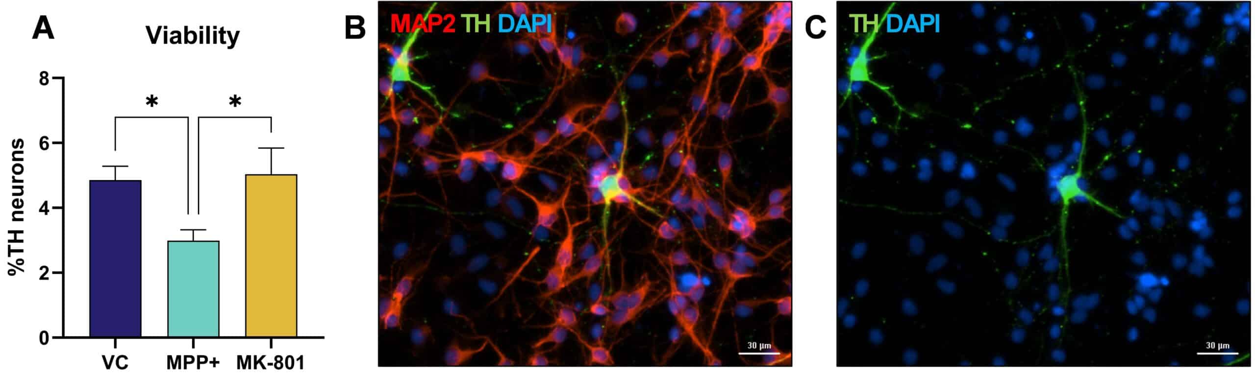 PD-Specific Lesion-Induced Neurotoxicity