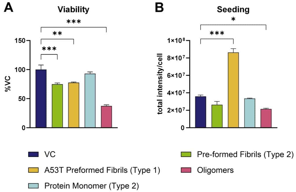 Seeding and Autophagy