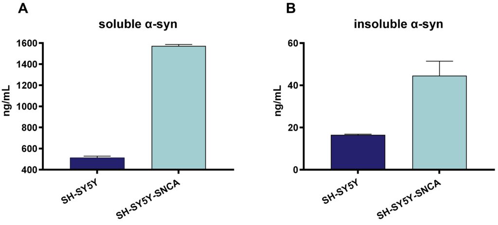 Seeding and Autophagy