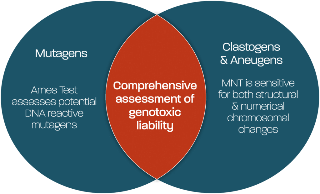 Venn-Diagram_All-Mechanisms