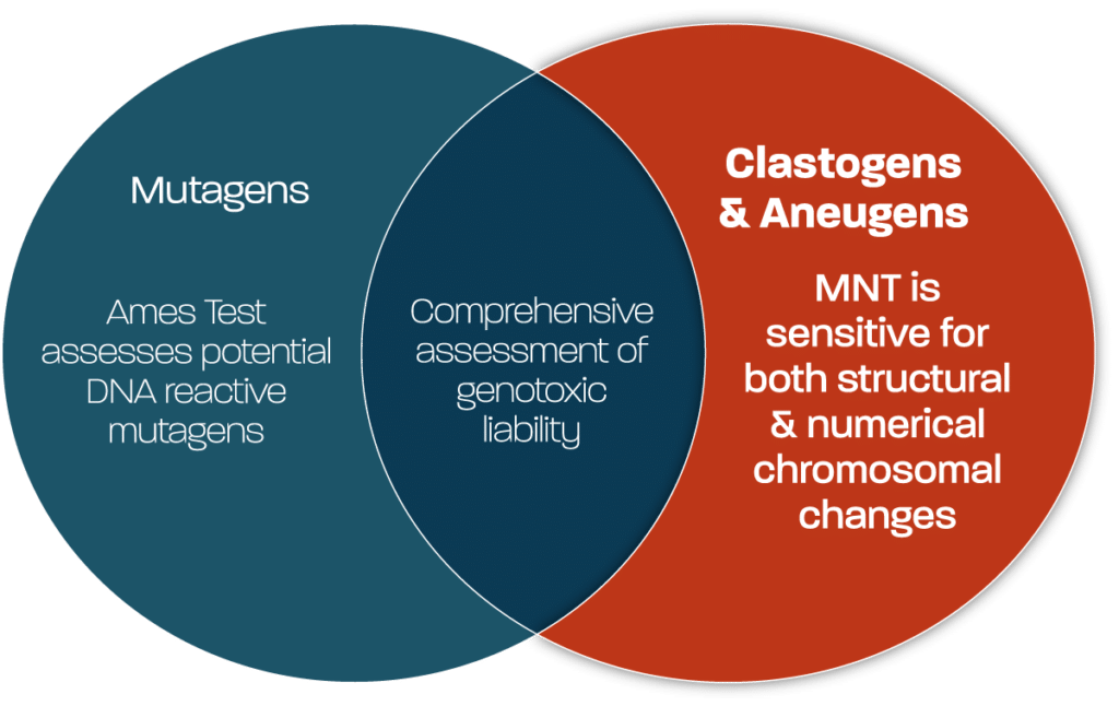 Venn-Diagram_Detecting-Clastogens-Aneugens