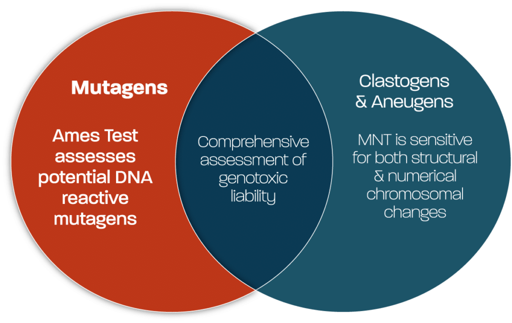 Venn-Diagram_Detecting-Mutagens