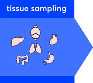 tissue sampling