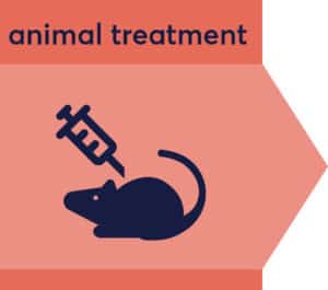 animal treatment