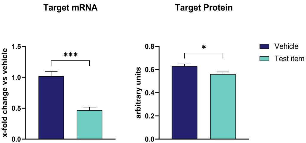 protein and mRNA level